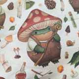 Mushroom Toad, Frog, small project bag