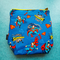 Kryptonite Hero, Small zipper Bag